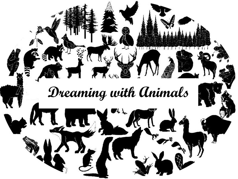 Dreaming with Animals at St Annes Church Hall, Eastville