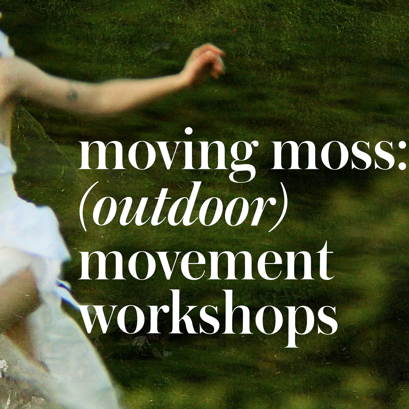Moving moss at Brandon Hill