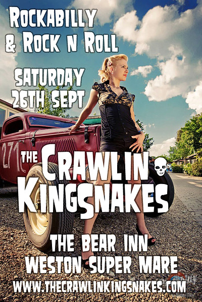 The Crawlin Kingsnakes at The Bear Inn, Wsm