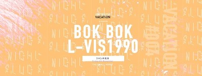 Vacation IV / Bok Bok b2b L-Vis 1990 at Small Horse Inn