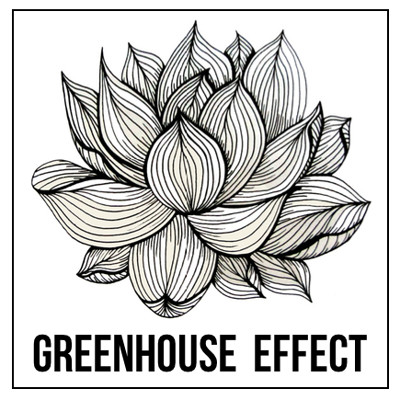 Greenhouse Effect Launch Party at Basement 45