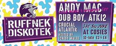 Ruffnek Diskotek ft Andy Mac at Cosies