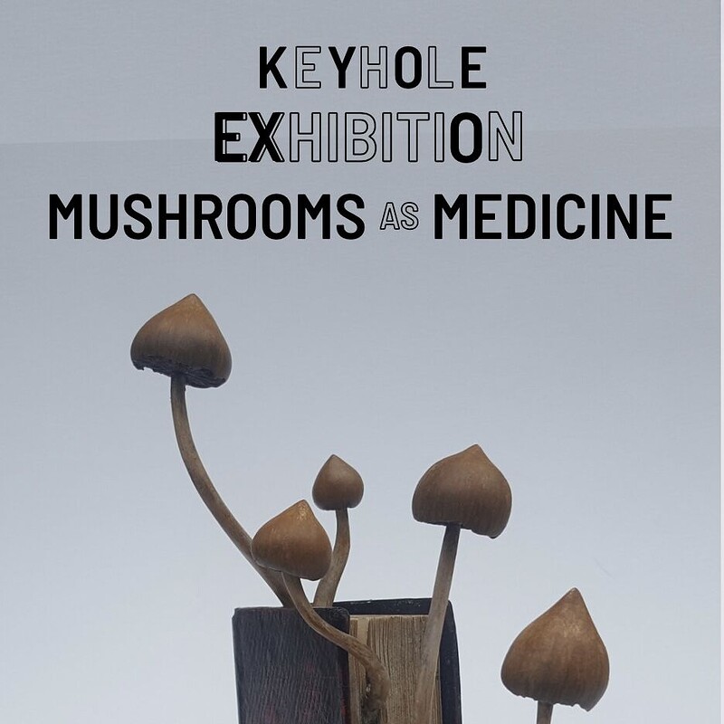 Keyhole Exhibition: Mushrooms as Medicine Day 1 at 395