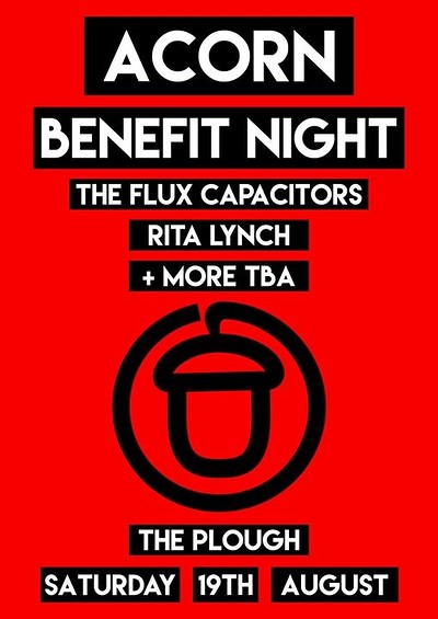 Flux Capacitors Summer Party at The Plough Inn