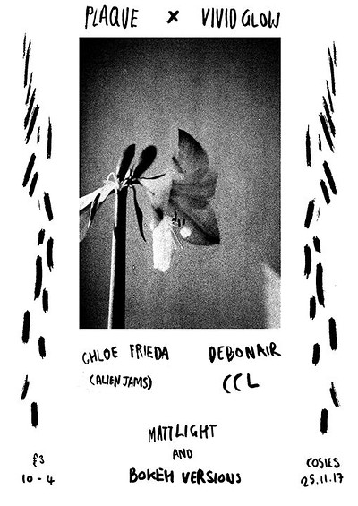Plaque-10/ Debonair, Chloe Frieda, CCL at Cosies