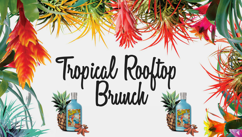 Tropical Rooftop Brunch at Radnor Rooms