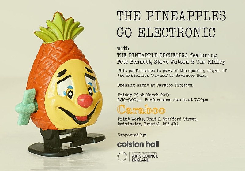 The Pineapples Go Electric at Caraboo Projects