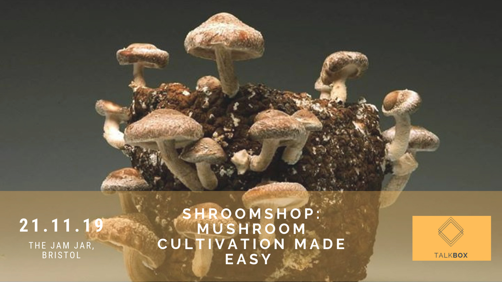 Shroomshop: Mushroom Cultivation Made Easy at Jam Jar