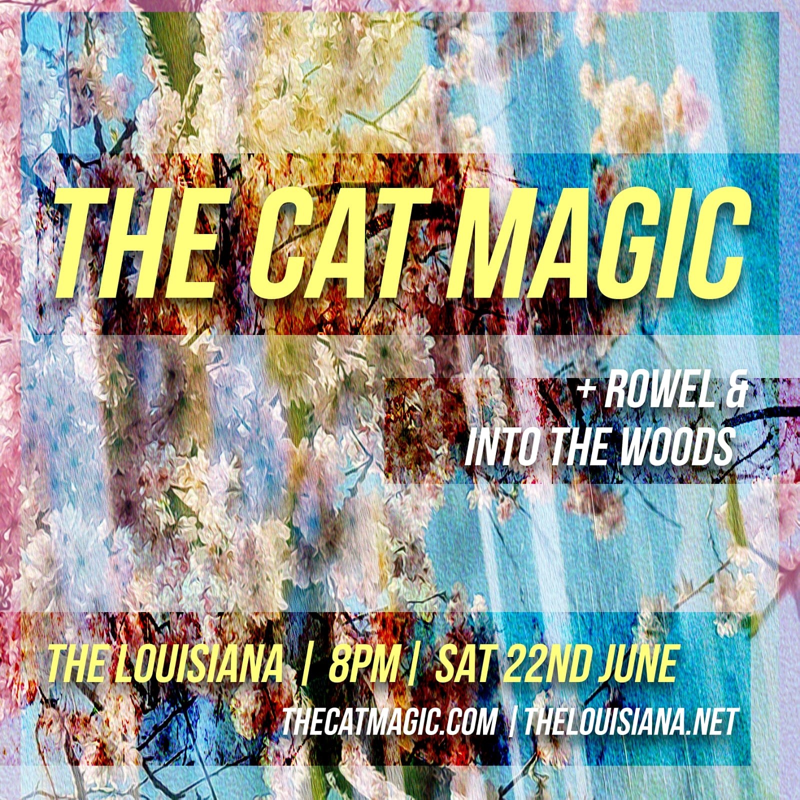 THE CAT MAGIC + Rowel + Into The Woods at The Louisiana