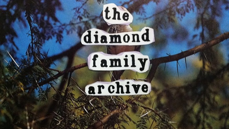 The Diamond Family Archive at The Canteen