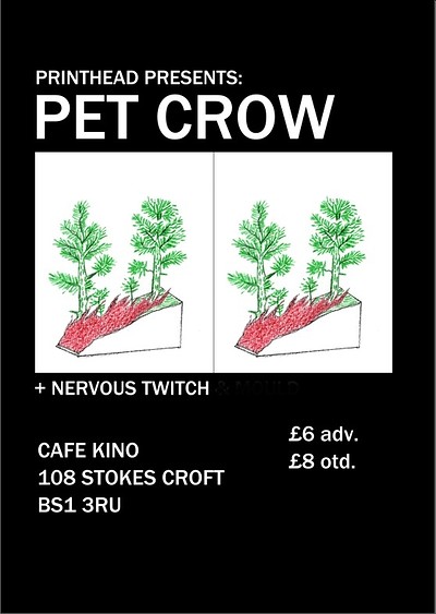 Pet Crow + Nervous Twitch at Cafe Kino