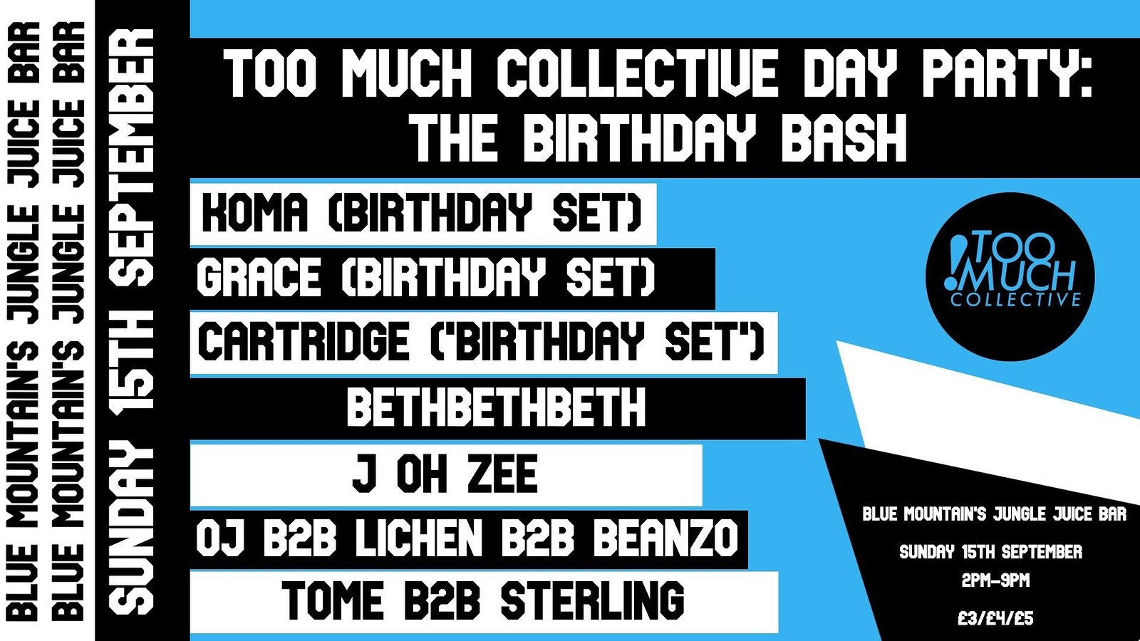 Too Much Collective Day Party: The Birthday Bash at Blue Mountain