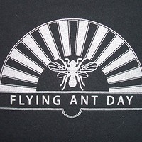 Smokin’ Pilchards plus Flying Ant Day  in Bristol