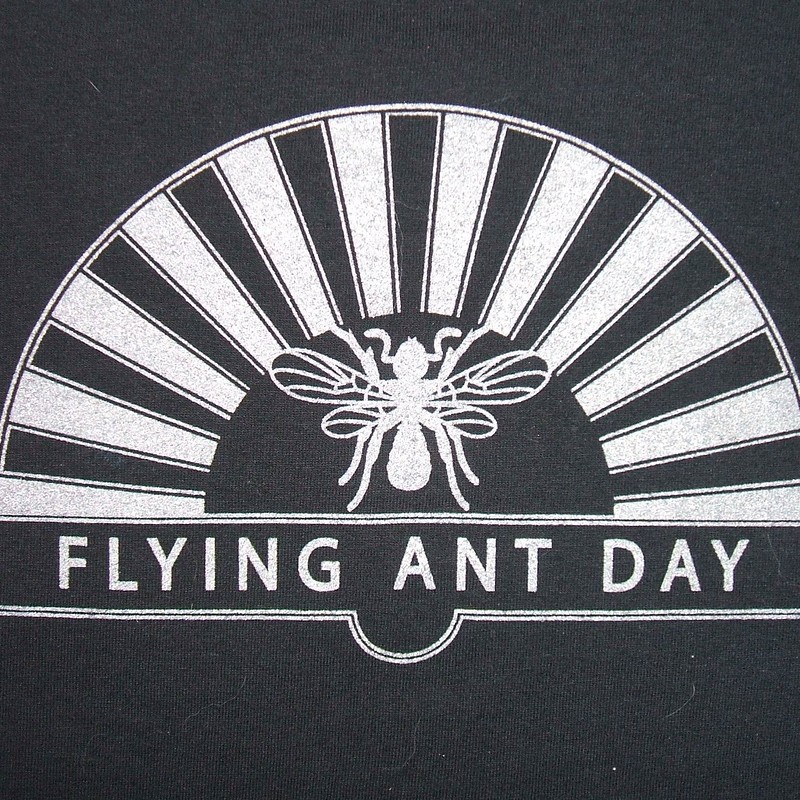 Smokin’ Pilchards plus Flying Ant Day at The Golden Lion