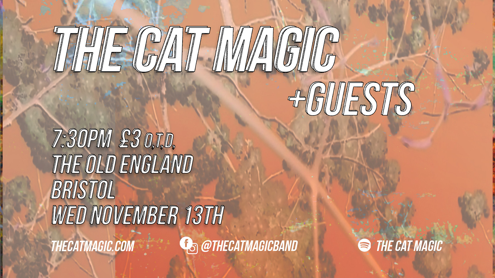 The Cat Magic at The Old England Pub