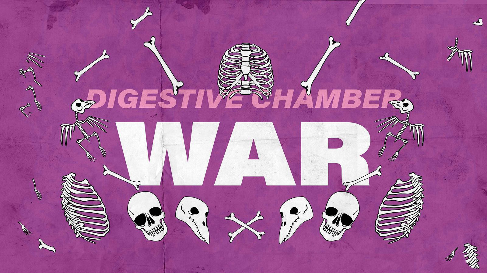 Digestive Chamber // War // at Take Five Cafe