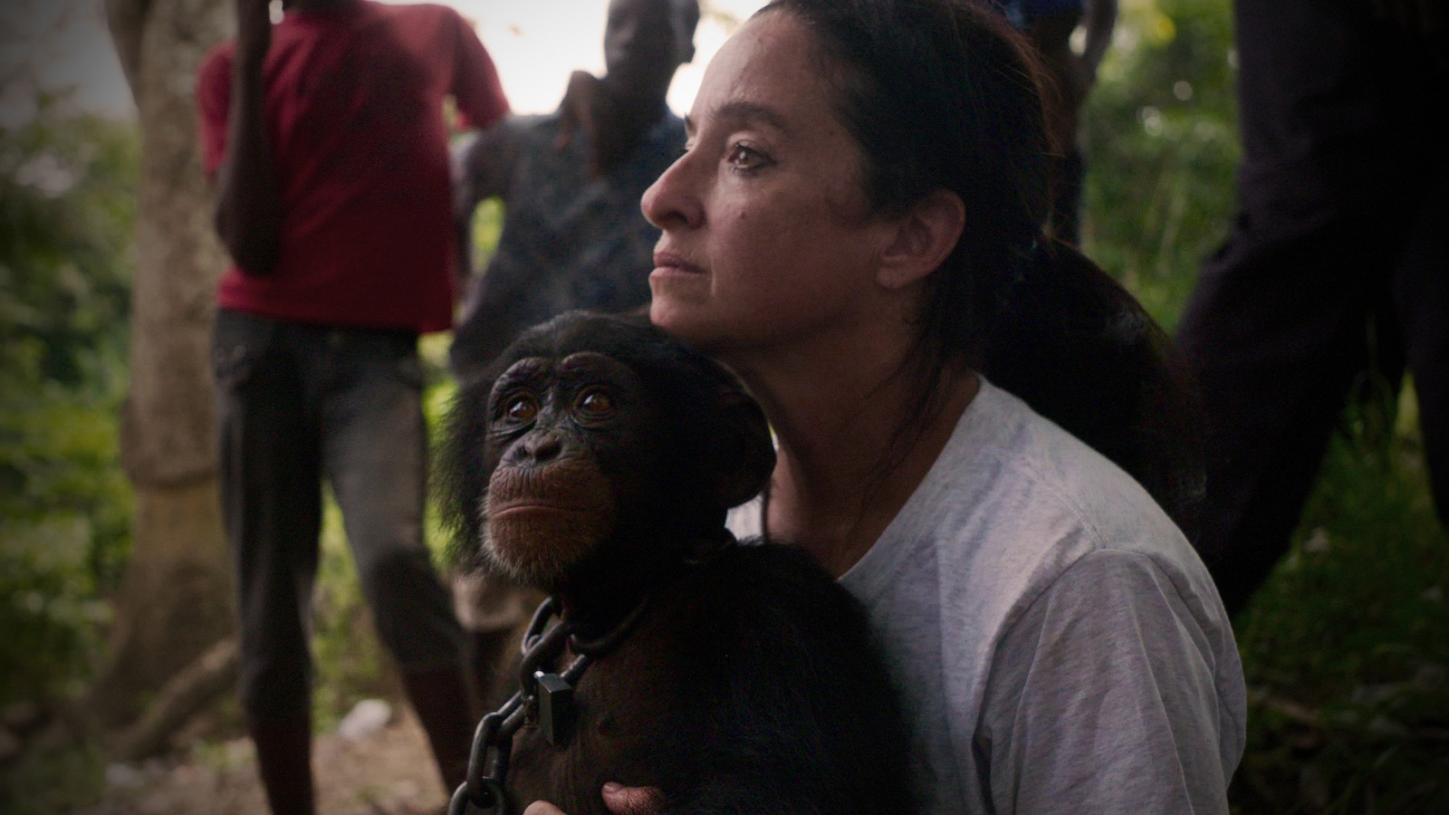 FILM | BABY CHIMP RESCUE: EPISODE 1 WITH Q&A at Arnolfini
