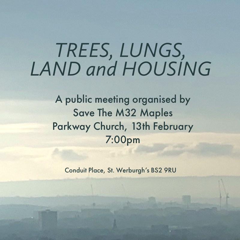 Trees, Lungs, Land and Housing at Parkway Methodist Church