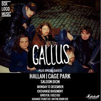 Gallus in Bristol