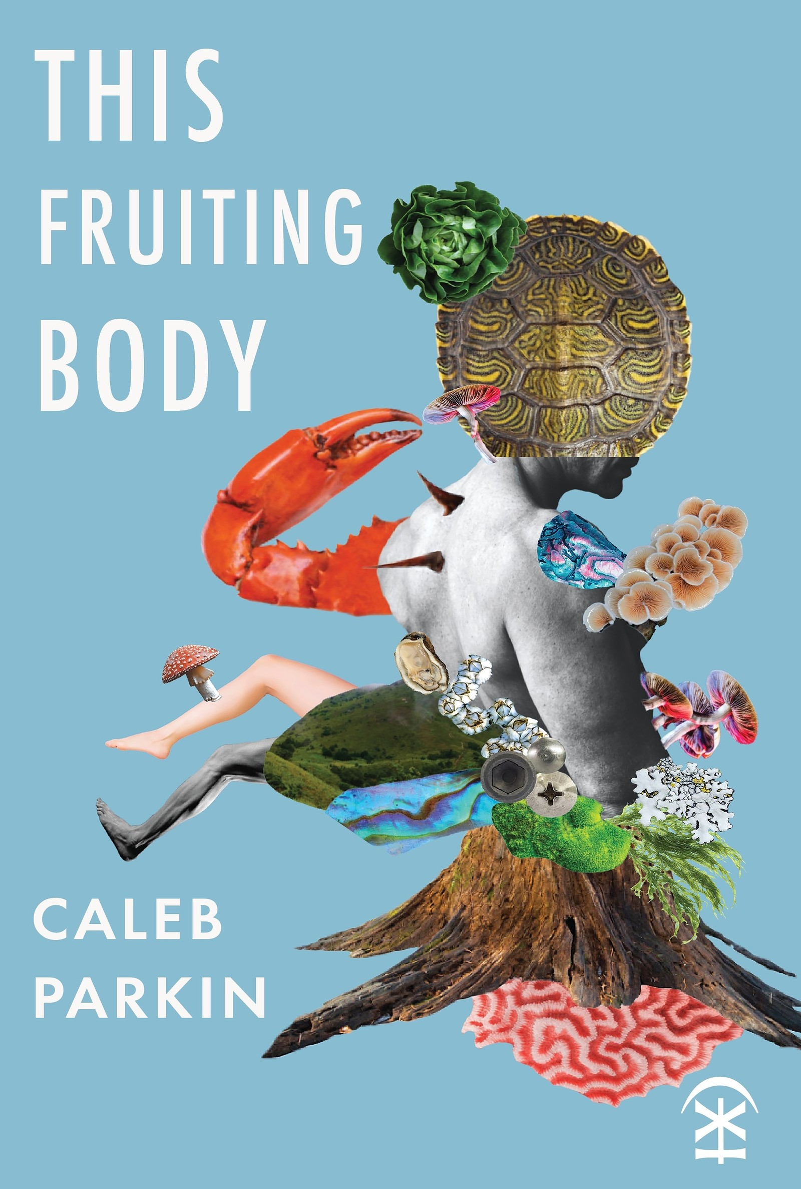 Fruiting Boaty: 'This Fruiting Body' launch party at Flower of Bristol