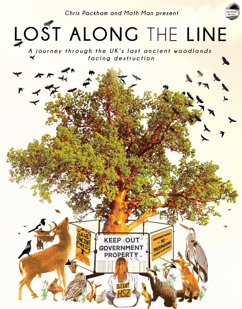 Lost Along the Line at The Cube