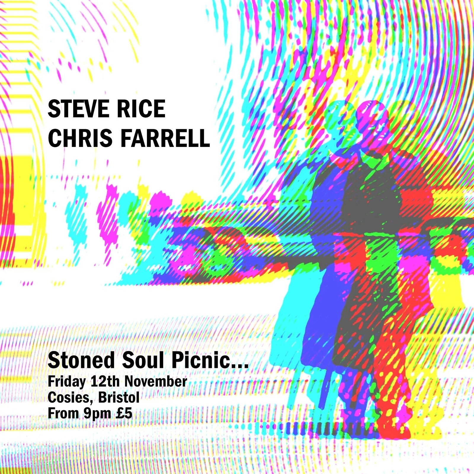 Stoned Soul Picnic w/ Steve Rice & Chris Farrell at Cosies