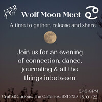 Wolf Full Moon Meet  in Bristol