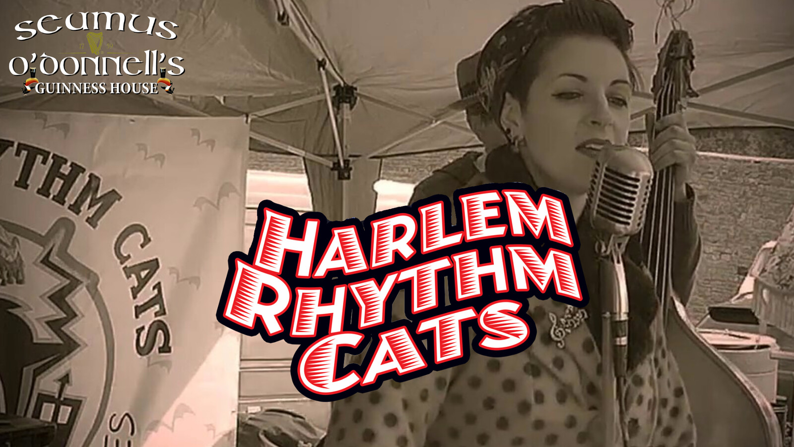 Harlem Rhythm Cats at Seamus O'Donnell's