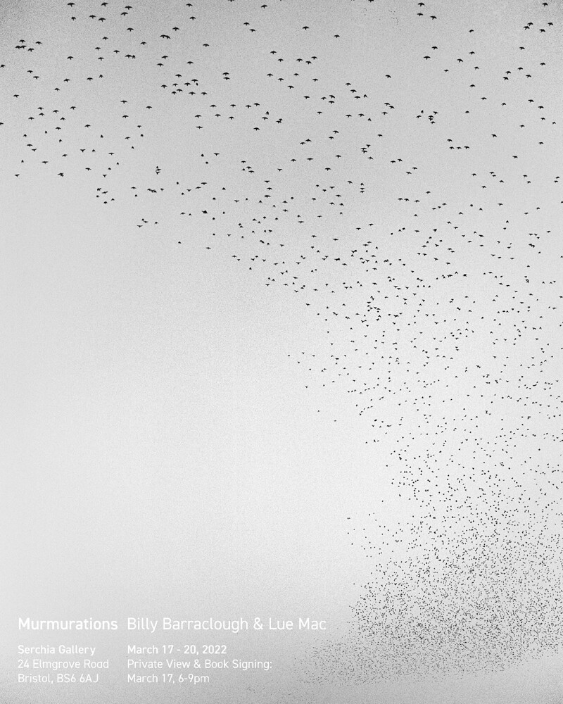 'Murmurations' Exhibition Opening and Book Launch at Serchia Gallery