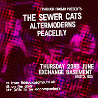 The Sewer Cats in Bristol