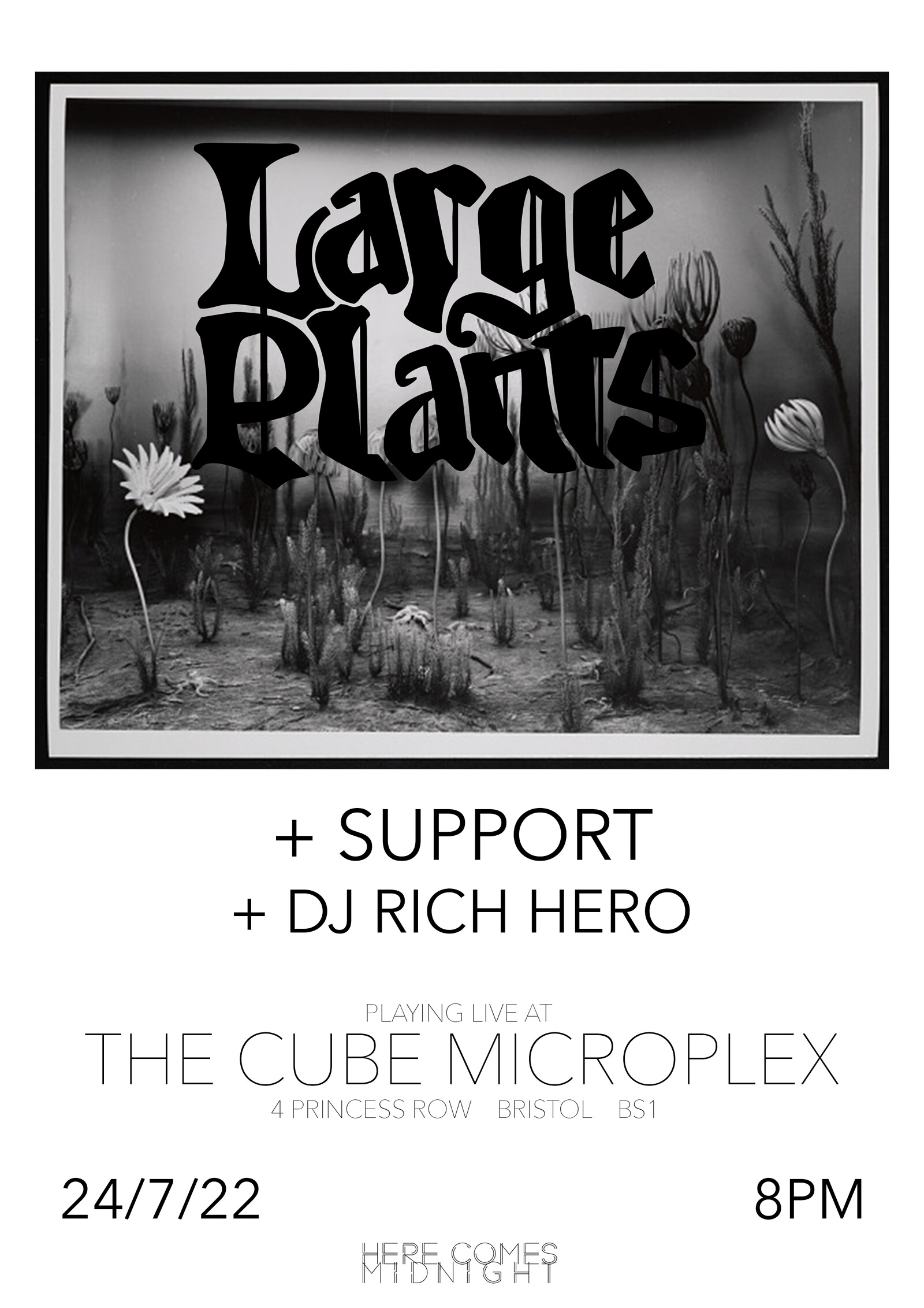 HCM// Large Plants + Lorcán + DJ Rich Hero at The Cube