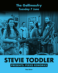 Stevie Toddler presents: Pixies Reworks in Bristol