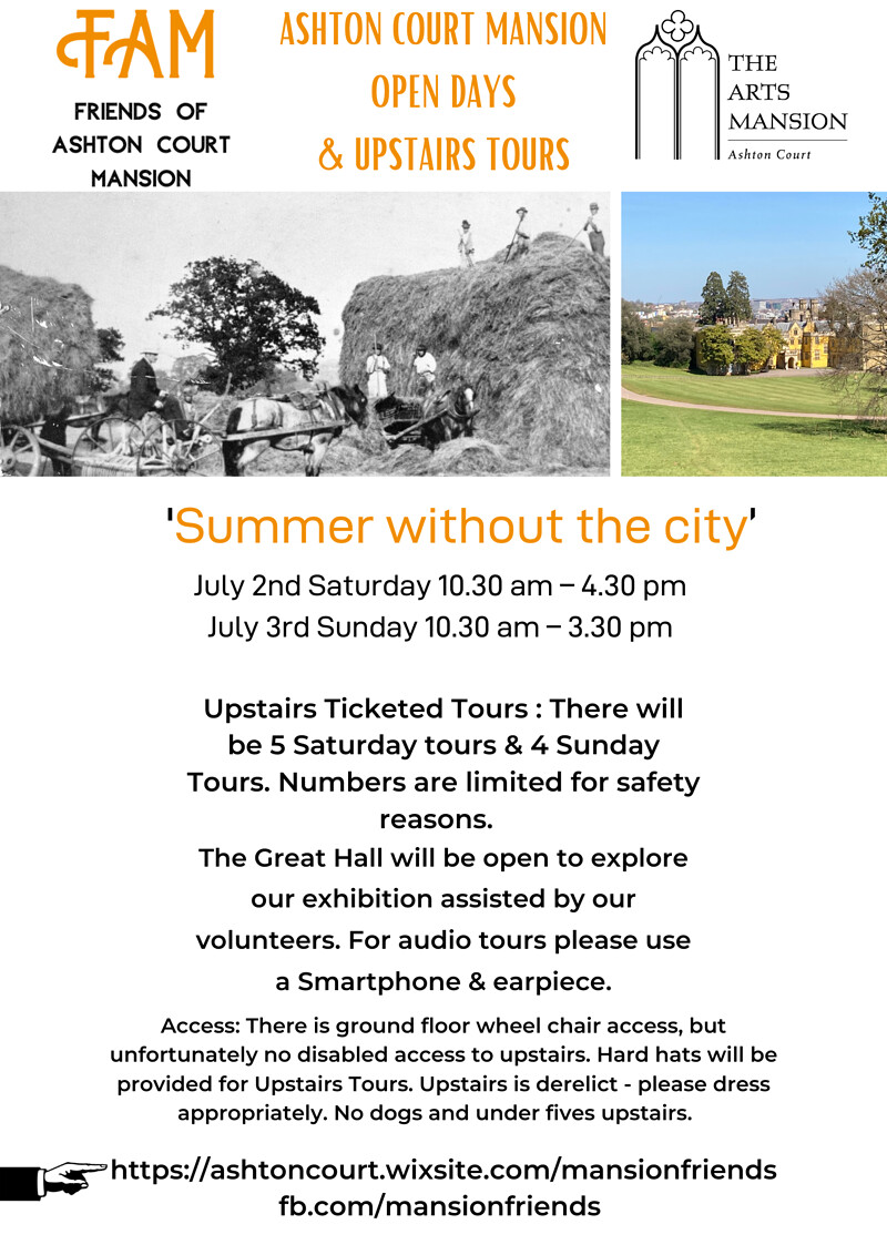 Summer without the city at Ashton Court