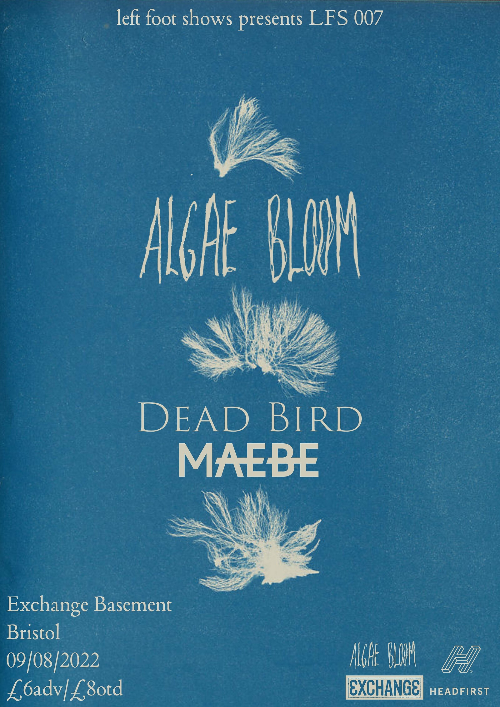 Algae Bloom, Dead Bird & Maebe. Exchange at Exchange