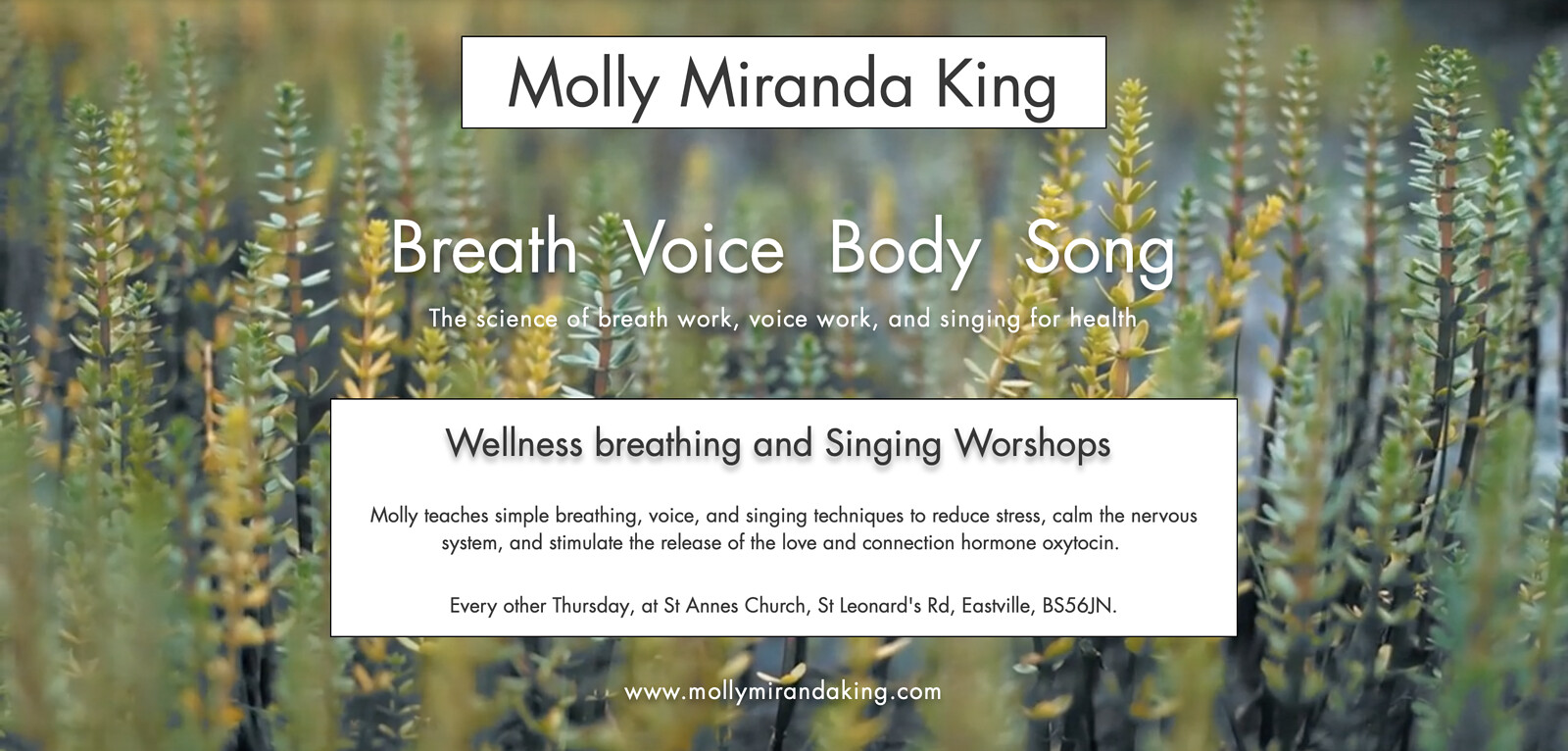 Holistic Breathing, and Singing Workshop at St Annes Church Greenbank, St Leonard's Rd, Eastville, Bristol BS5 6JN