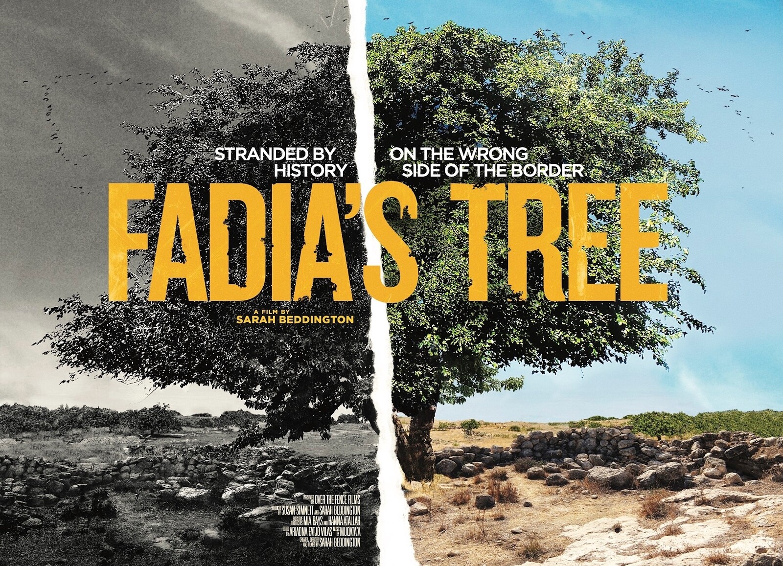 Fadia's Tree + Q&A at Palestine Museum & Cultural Centre