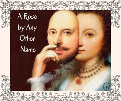 A Rose by Any Other Name at Alma Tavern and Theatre