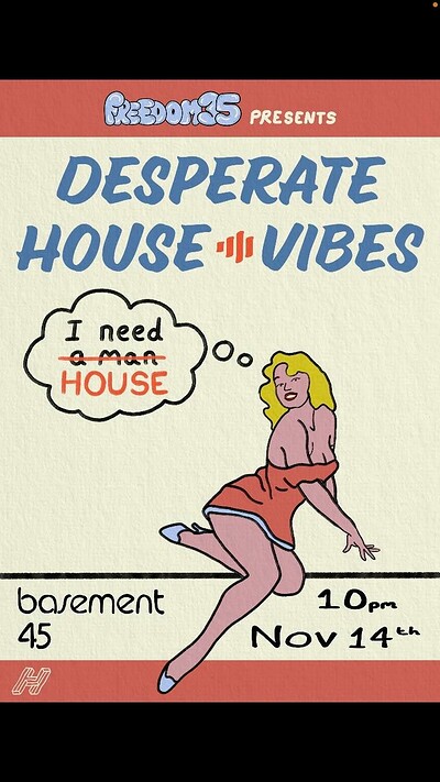 Desperate HouseVibes at Basment 45
