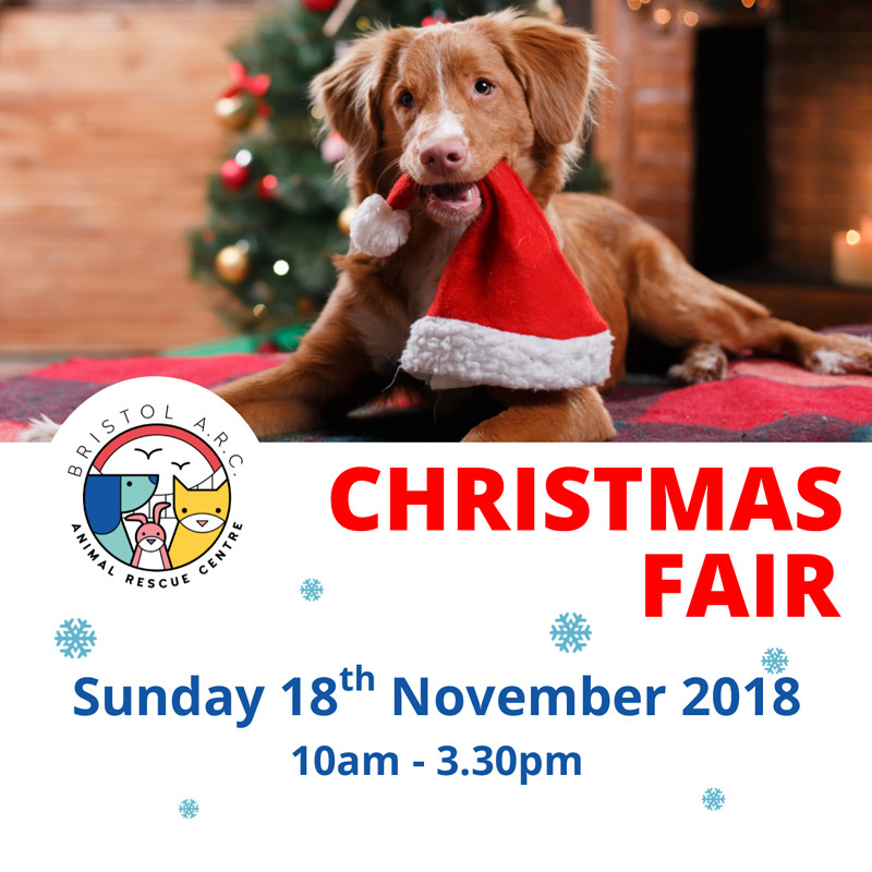 Christmas Fair at Bristol Animal Rescue Centre