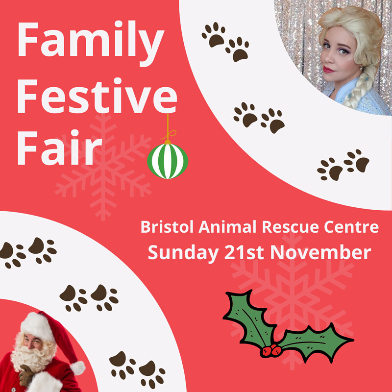 Family Festive Fair at Bristol Animal Rescue Centre