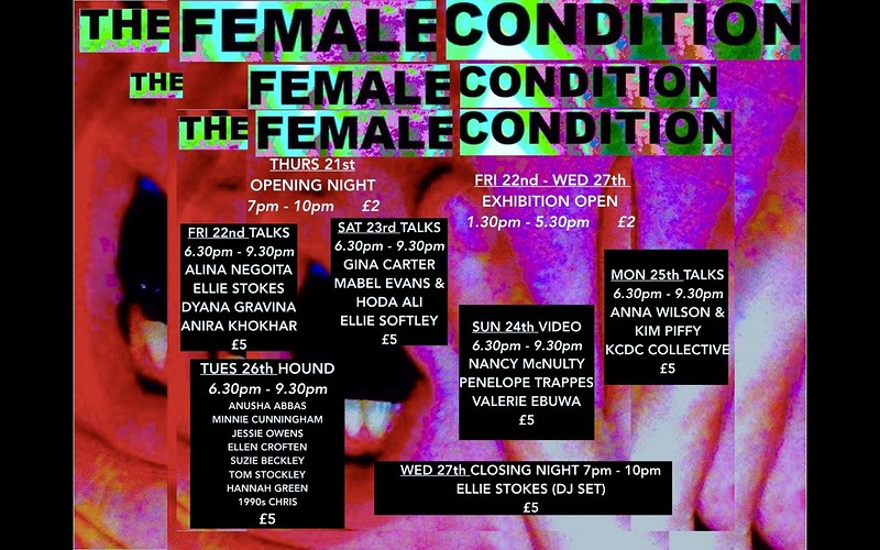 Evening # 4: The Female Condition Exhibition at Centrespace Gallery