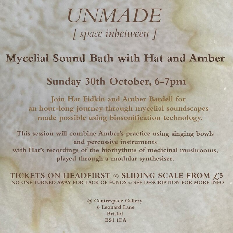 Mycelial SoundBath with Hat & Amber at Centrespace Gallery
