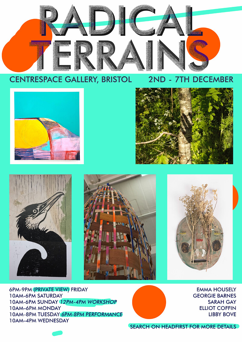 Radical Terrains - Private View at Centrespace Gallery