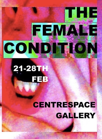 The Female Condition Exhibition at Centrespace