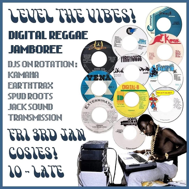 Level the Vibes: Digital Reggae DJ Jamboree at Cosies