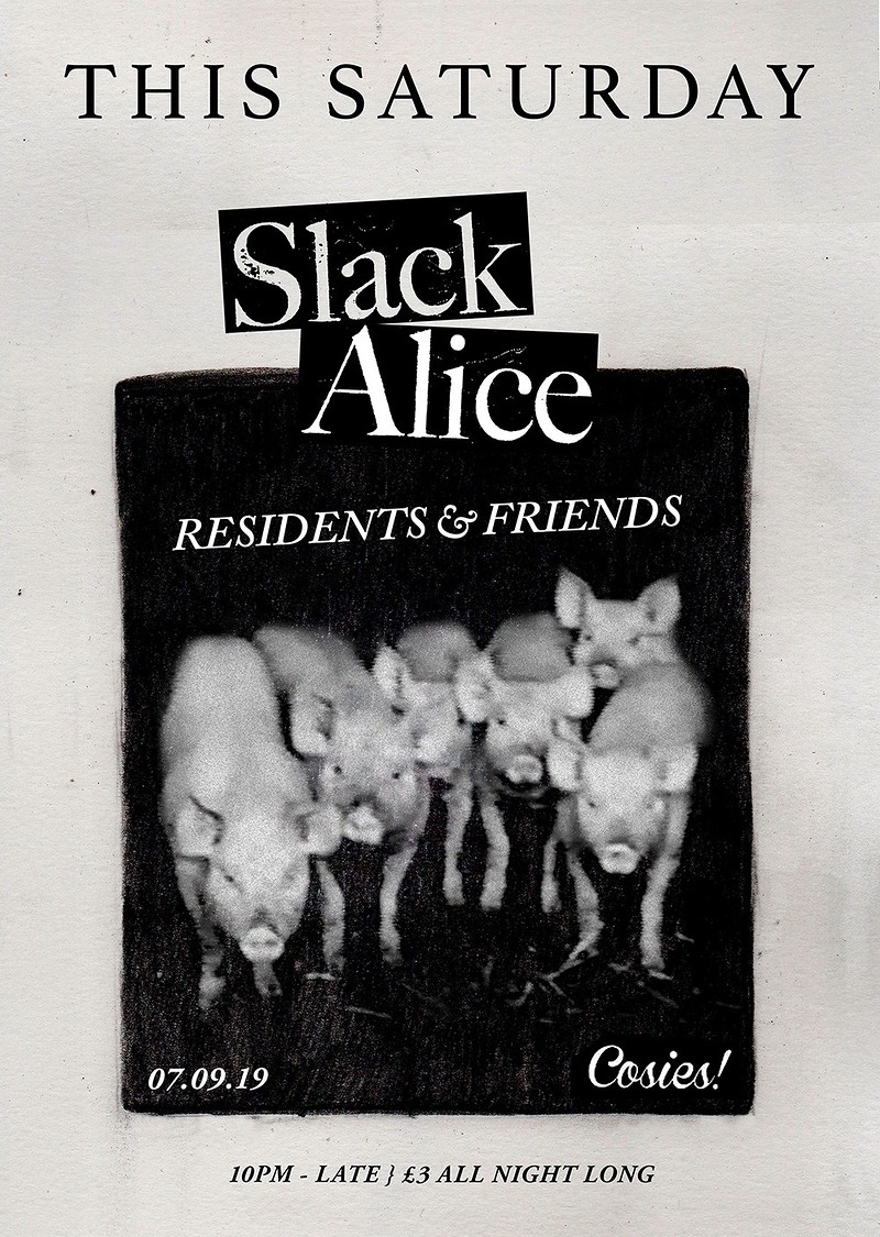 Slack Alice at Cosies