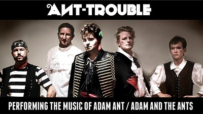 Ant Trouble at Crofters Rights in Bristol