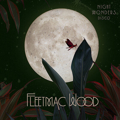 Fleetmac Wood presents Night Wonders Disco at Exchange