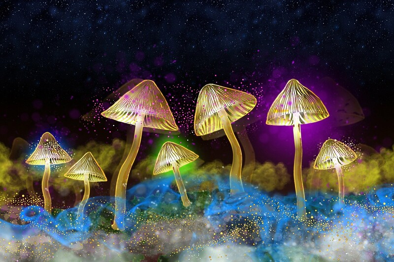 The Science of Psychedelics with Dr. David Luke at Exeter Phoenix