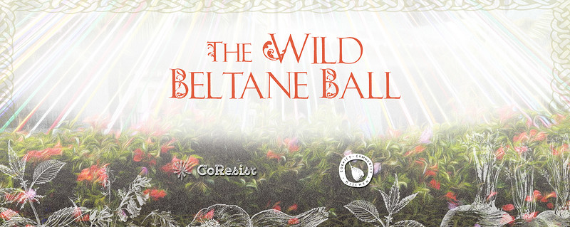 The Wild Beltane Ball at Hamilton House
